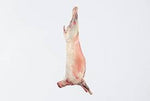 WHOLE LAMB