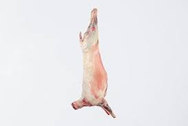 WHOLE LAMB